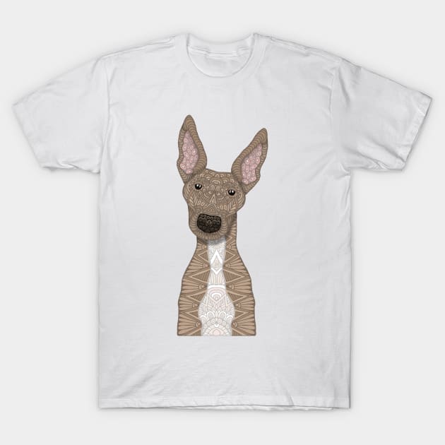 Cute fawn greyhound with white belly T-Shirt by ArtLovePassion